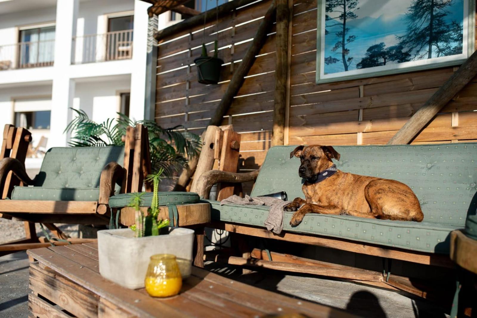 Villa Intuitiva - Relaxation And Mindful Stay Lourinha  Exterior photo